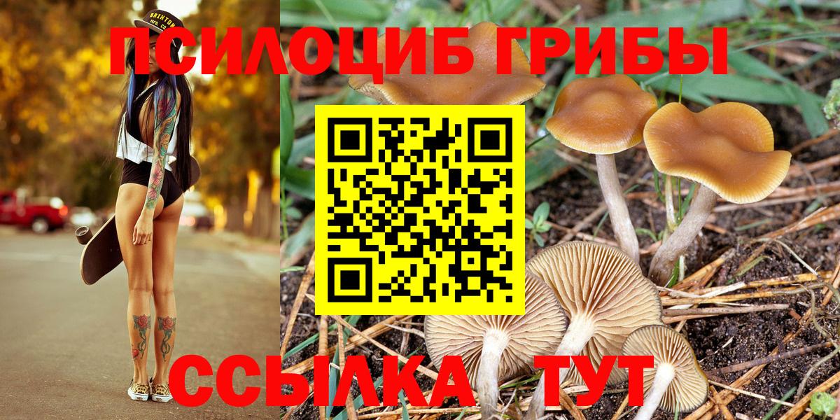 Галлюциногенные грибы Cubensis  Вход с VPN  Арзамас 